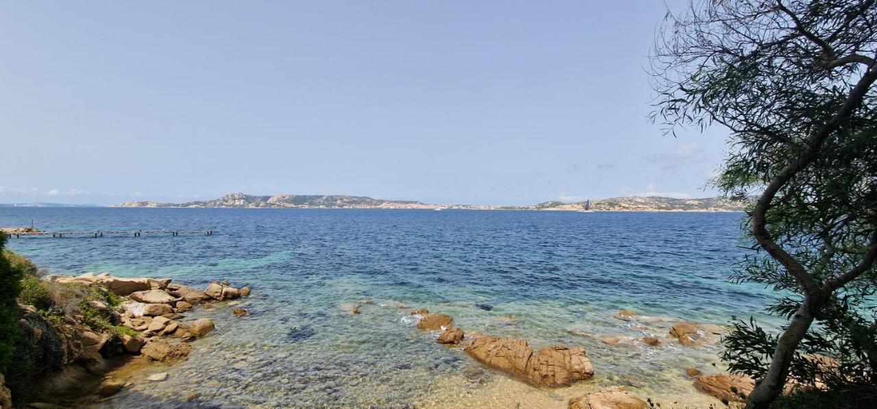 Appartamento Con Piscina - Luna Ruja Palau Dış mekan fotoğraf